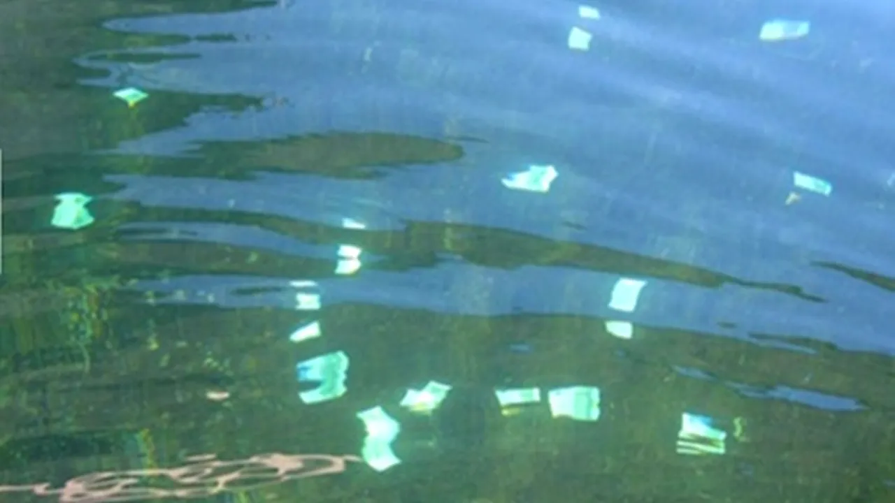 Un austriac a descoperit o avere plutind pe Dunăre și a dus-o la poliție. Ce recompensă va primi 