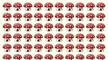 Test de inteligență | Una dintre aceste 100 de ciuperci este diferită de celelalte. Găsiți-o în maximum 7 secunde!