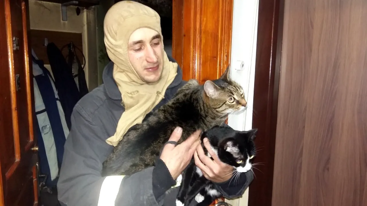Misiune neobișnuită a pompierilor suceveni. Un bărbat care și-a uitat oala pe foc a avut o ultimă rugăminte la ei