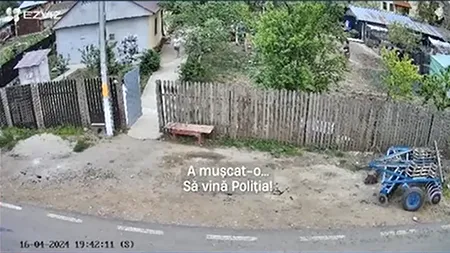 Fetiță de 11 ani, MUTILATĂ de câinele unui vecin, într-o comună din Călărași. Minora a fost adusă la un spital din Capitală, fiind operată de trei ori