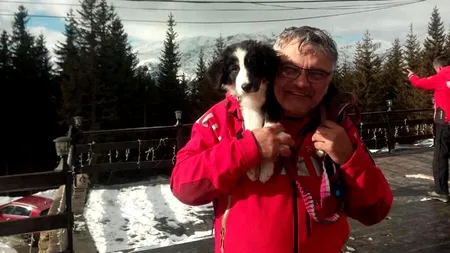 Viitoarea generație de câini de avalanșă a Salvamont România, admisă la training