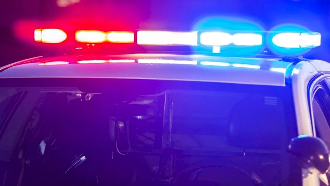 BOTOȘANI. Bombă de aruncător de 60 mm, depistată, depistată în timpul unor lucrări agricole