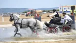 Două atelaje s-au răsturnat la competiția europeană de la Oșorhei. Trei femei au fost transportate la spital