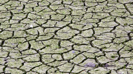 ANM: Cu siguranţă România va avea parte de secetă în a doua parte a verii