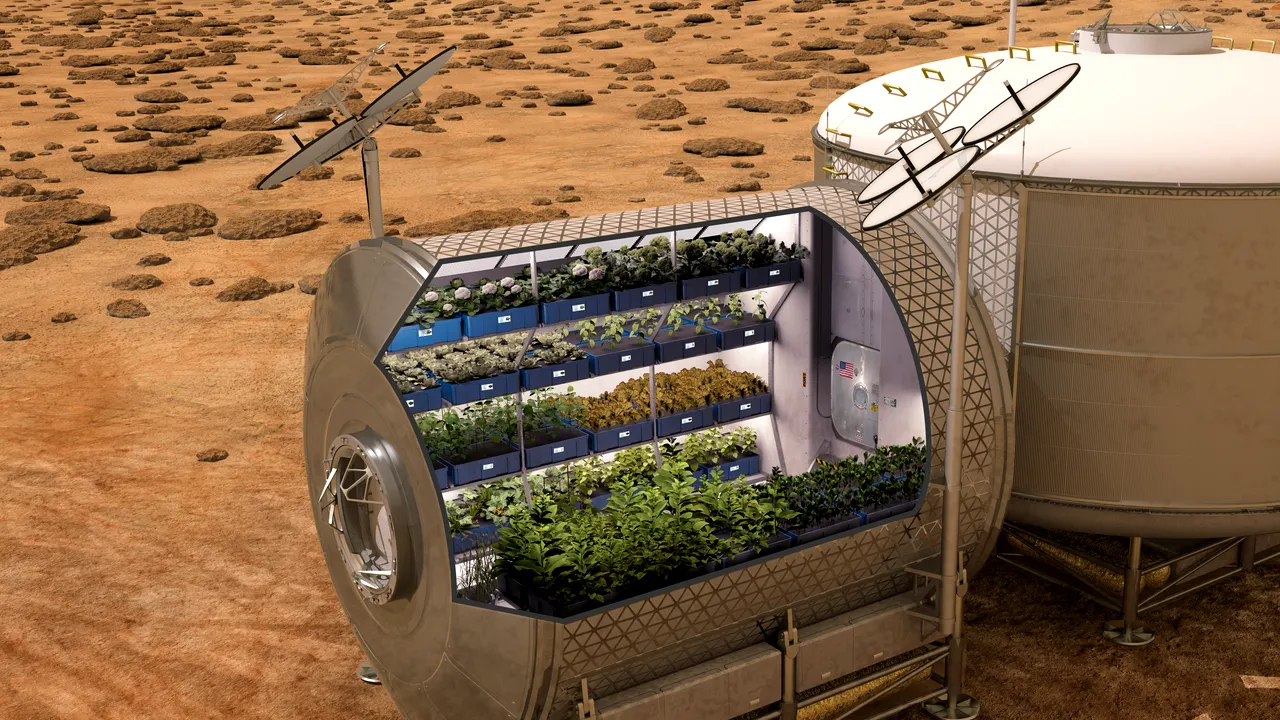 Astronauții vor mânca pentru prima dată salată plantată și crescută pe Stația Spațială Internațională