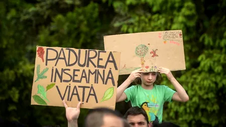 Aproximativ 300 de persoane au protestat în București față de despăduririle abuzive. 
