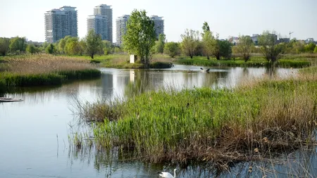 Primăria Capitalei va aloca un buget de 1,1 milioane de lei pentru „Delta Văcărești”. Pe ce se vor cheltui banii