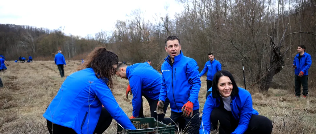 Peste 100 de voluntari ai Fundației Țiriac și Țiriac Auto și-au unit forțele în cadrul programului „Plantăm fapte bune în România”