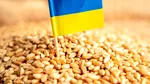 Polonia și România spun „pas” Ucrainei și anunță că au ajuns la limita maximă de transport a grânelor, în ciuda insistențelor Kievului