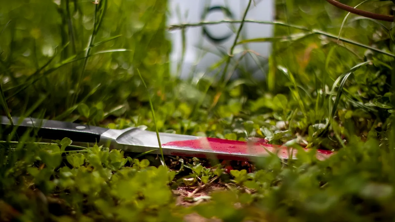 Un minor de 15 ani a fost ÎNJUNGHIAT mortal de fostul iubit al mamei sale. A apărat-o până în ultima clipă chiar cu prețul vieții