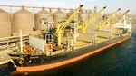 Rusia își majorează EXPORTURILE de cereale din teritoriile ocupate în Ucraina. Ce venituri obține