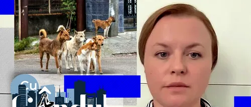 VIDEO EXCLUSIV | Consilier general: Bucureștenii nu sunt protejați împotriva câinilor fără stăpân, la 9 luni de la moartea unei femei pe Lacul Morii