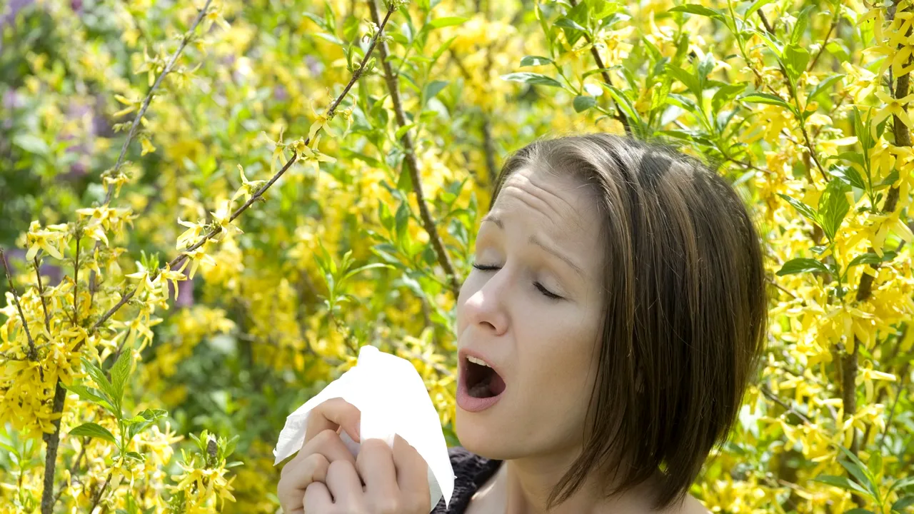 Primarul Capitalei va solicita Guvernului să tripleze amenzile pentru cei care nu elimină ambrozia