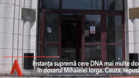 Instanța supremă cere DNA mai multe documente în dosarul Mihaelei Iorga