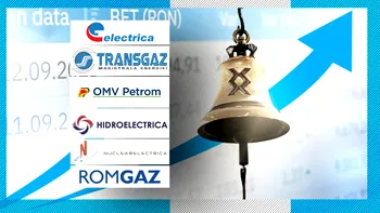 Cât câștigă statul de la cele mai mari companii din ENERGIE la care are acțiuni. Acestea se află în TOP 10 la BVB în funcție de capitalizarea bursieră