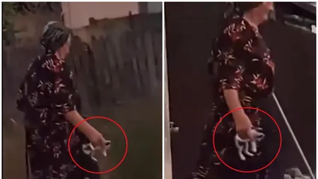 Caz grav de cruzime asupra animalelor în Strehaia. O femeie de 77 de ani s-a ales cu dosar penal, după ce aruncat peste gard un pui de pisică