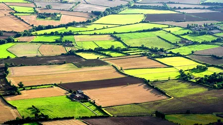 Cu cât se vinde un hectar de teren în România, în 2025