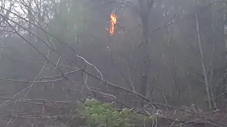 Pericol de incendii de vegetație, în mai multe zone din Grecia. Avertismentul MAE pentru români