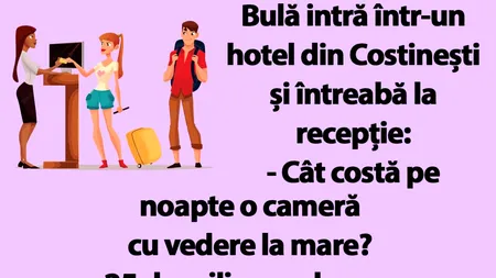 BANC | Bulă intră într-un hotel din Costinești