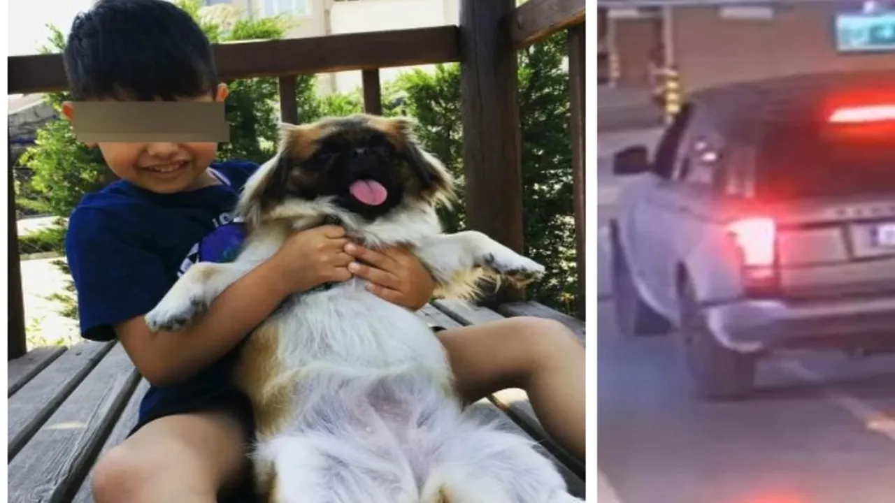 VIDEO| Un copil de 8 ani a murit călcat cu mașina de mătușa lui. Băiețelul a rămas cu mâna blocată în portieră și a sfârșit sub roți