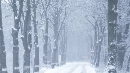 Elena Mateescu, șefa ANM, anunță prognoza pentru toată luna octombrie 2025/Ciclonul abătut peste România anunță ce fel de iarnă vom avea