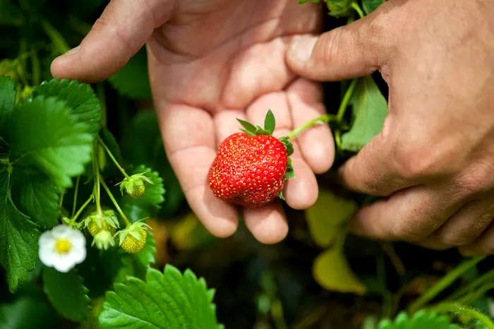 Sursa foto: Profimedia images