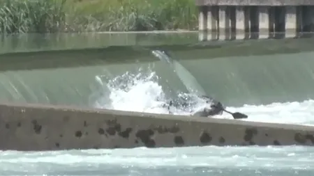 UPDATE MAE: Doi cetățeni români au murit în accidentul produs pe Fluviul Rin / Cel puțin trei persoane au decedat după ce o ambarcațiune s-a răsturnat