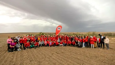 Mega Image plantează o pădure nouă, de 12.000 de copaci, unul pentru fiecare angajat