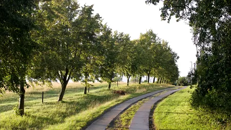 Premierul anunță un program prin care drumurile comunale să fie finanțate de la buget. Care vor fi localitățile cu prioritate