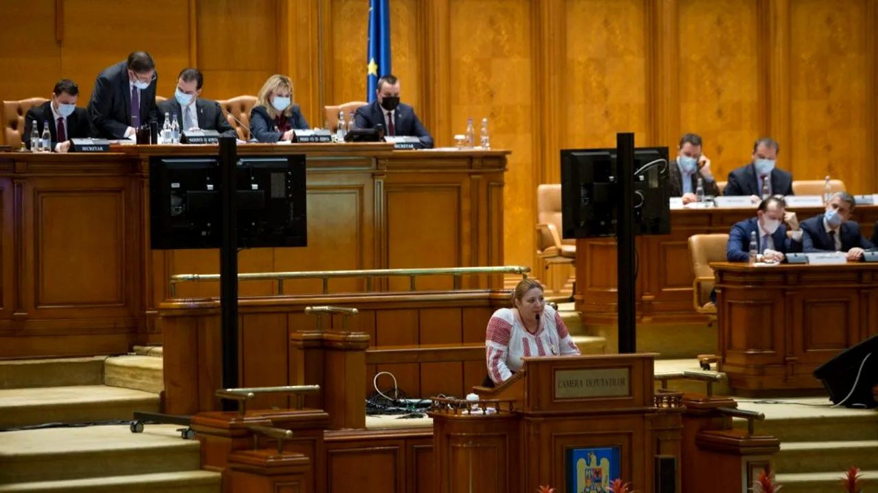 Diana Şoşoacă a încălcat deontologia parlamentară. Biroul Permanent urmează să decidă cum va fi sancționată senatoarea