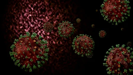 Medic român aflat în SUA, anunț teribil despre noua tulpină de COVID-19 din Africa de Sud: “Suntem speriați! S-ar putea să nu fie acoperită de Pfizer și Moderna”