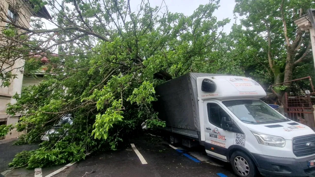 Încă un copac s-a prăbușit în București. A căzut peste patru mașini parcate și a rupt o țeavă de gaze
