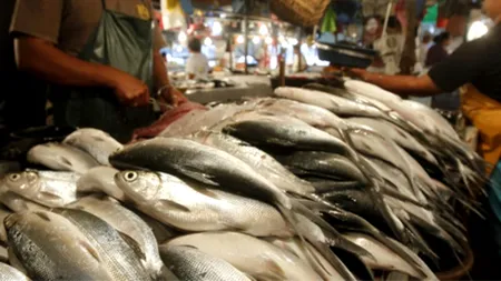 Carne de pește etichetată greșit. O treime din peștele pe care îl cumpărăm nu este ceea ce credem 