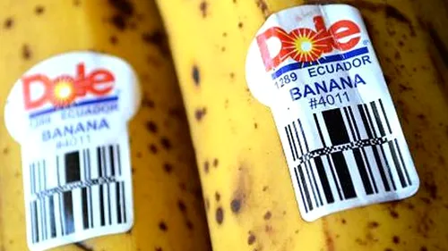 Atenție la ce mănânci! Ce înseamnă codurile de pe etichetele bananelor