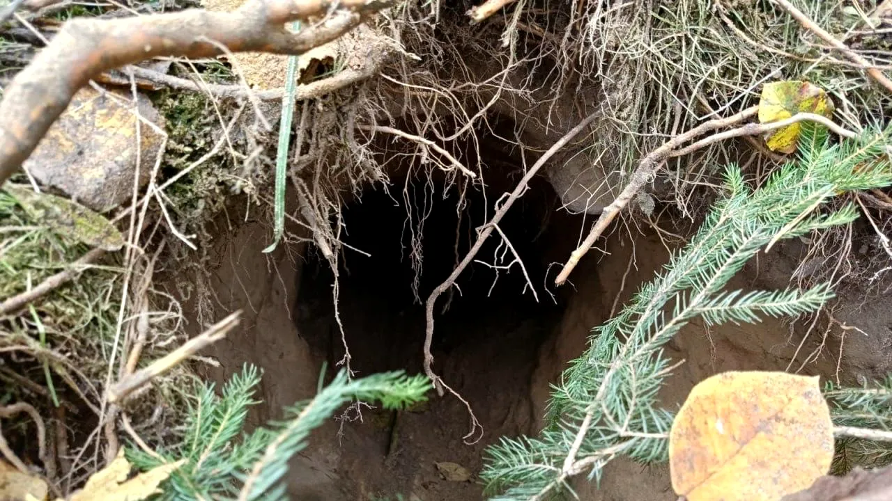 Polonia descoperă la graniță tuneluri spre Belarus