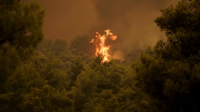 Incendii de vegetație în insula Samos din Grecia: 1.000 de turiști au fost evacuați din calea flăcărilor - FOTO
