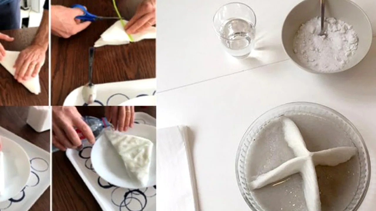 AER CURAT. Cum putem confecționa un dispozitiv care să ne ajute la purificarea aerului în locuință: „Grădina salină”, ideea unui chimist român