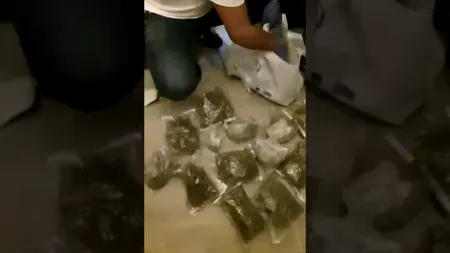 Droguri livrate prin curieri care se foloseau de numele unei cunoscute firme de livrări la domiciliu. Ce însemna o comandă de ”pizza vegetariană mare” sau ”o sticlă de șampanie” | VIDEO