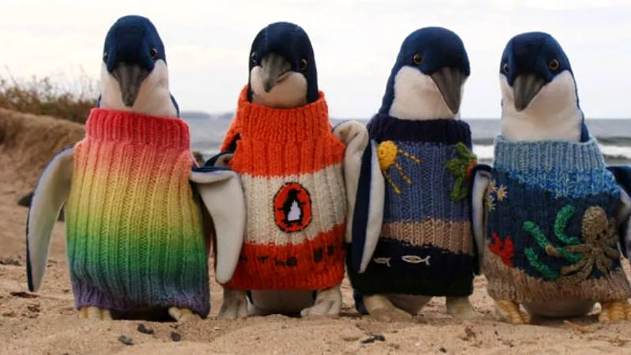 Cel mai bătrân australian croșetează haine pentru pinguinii afectați de poluare