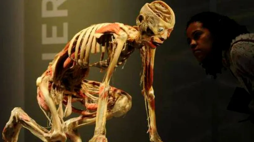 O expoziție cu trupuri umane de la Muzeul Antipa stârnește controverse înainte să fie vernisată