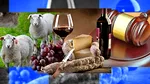 Comisarul anticorupție Gheorghe Țibulcă va fi judecat pentru că a primit mită patru MIEI și 20 de litri de VIN. Sunt vizați și doi oameni de afaceri