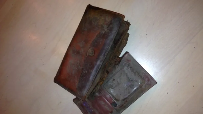Descoperire inedită într-un parc din Connecticut: Un tânăr a găsit un portofel pierdut în urmă cu trei decenii