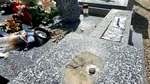Doi români au jefuit 15 cimitire în Franța. Compatrioții au despodobit monumente funerare de zorzoanele de bronz, efigii și statuete 
