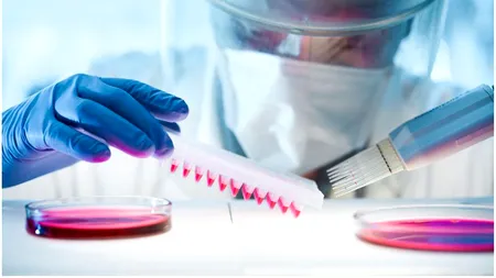 CORONAVIRUS. Județul din România cu peste 60% rată de vindecare la pacienții de Covid-19!