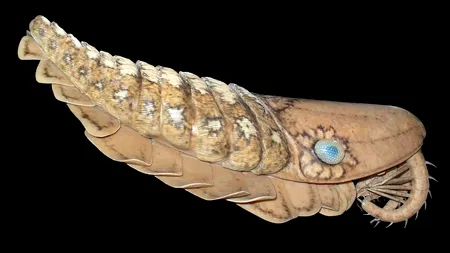 Aceste animale au un lucru în comun: s-au întors din morți