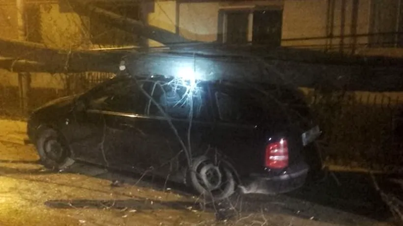 Un copac a căzut peste trei mașini în Botoșani