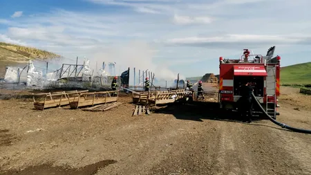 FOTO-VIDEO | Peste 200 de oi au murit într-un incendiu izbucnit într-o localitate din județul Botoșani