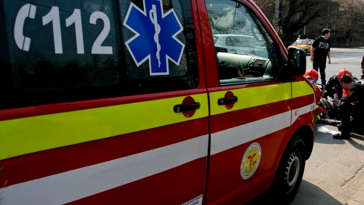 O femeie din Dâmbovița, rudă cu Rovana Plumb, ATACATĂ DE UN URS. Vânătorii au ÎNCERCUIT ursul ucigaș