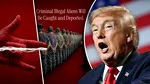 Trump îi compară pe agenții de la Serviciul de Imigrare și Control Vamal cu Spider-Man la prinderea migranților ilegali și a infractorilor