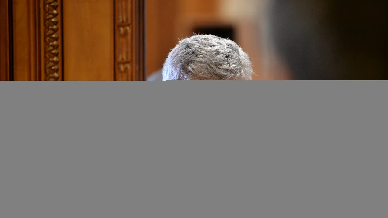 Iordache, despre achitarea lui Tăriceanu: Este un semn de normalitate